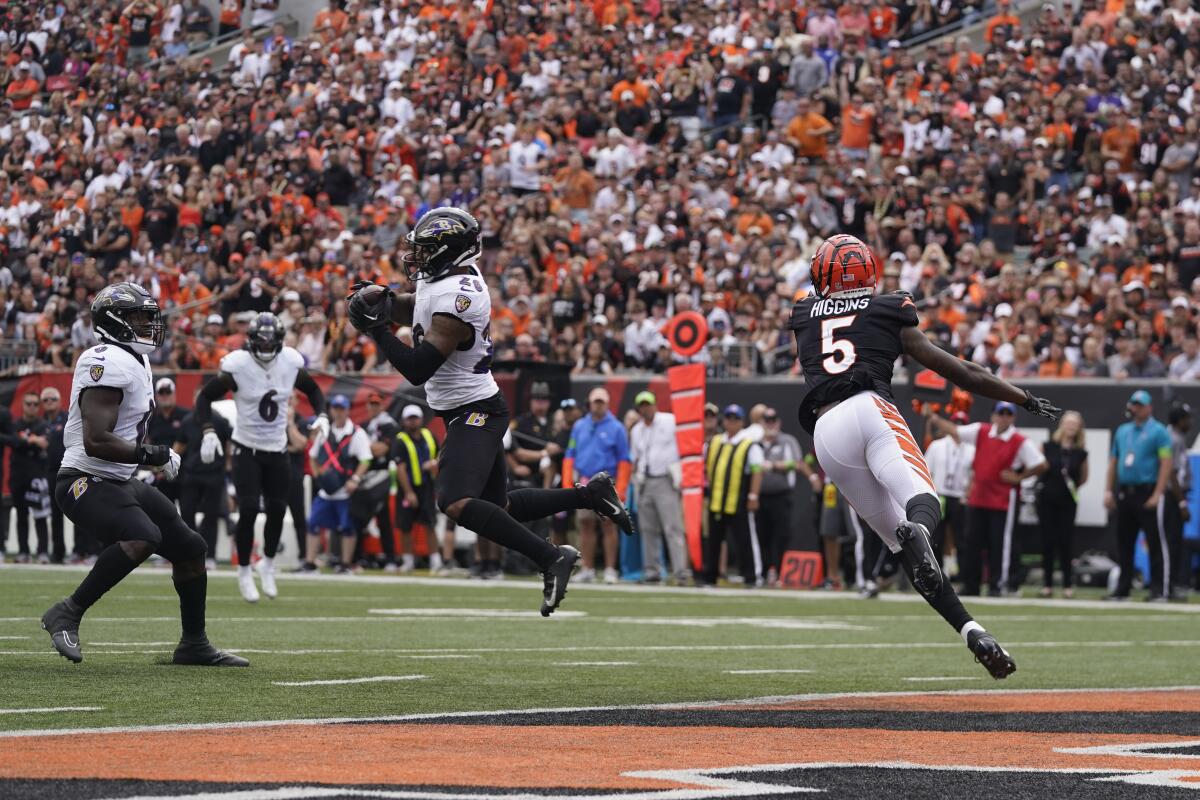 Baltimore Ravens at Cincinnati Bengals on September 17, 2023