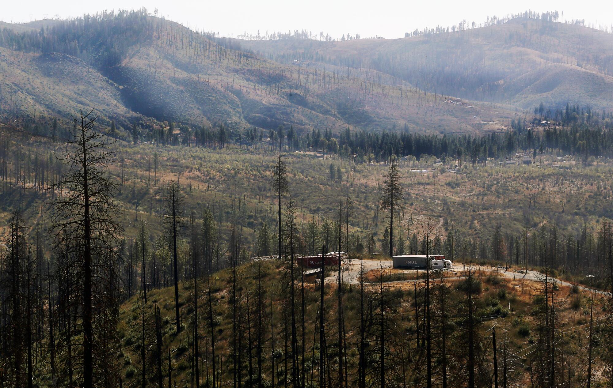 A few structures and a camper on top of a hill, surrounded by charred trees and some regrowth on largely bare hills