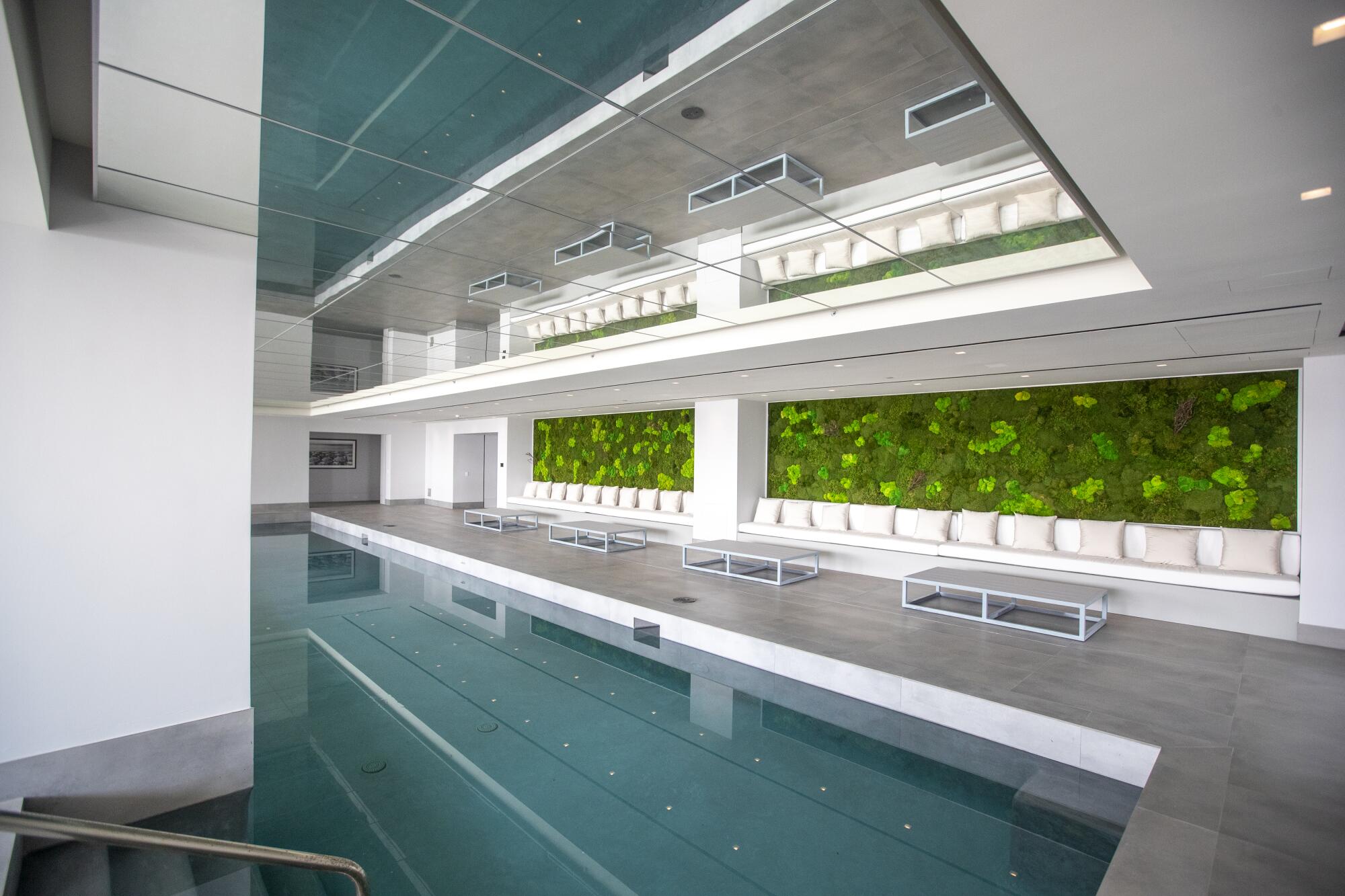 A view of the indoor pool and living wall at The One.