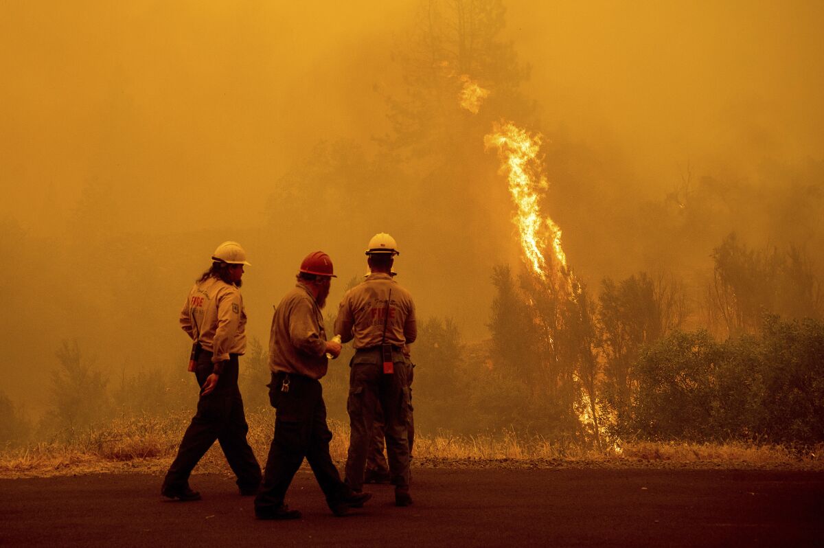 Three firefighters stand in front of flames burning in vegetation amid thick smoke