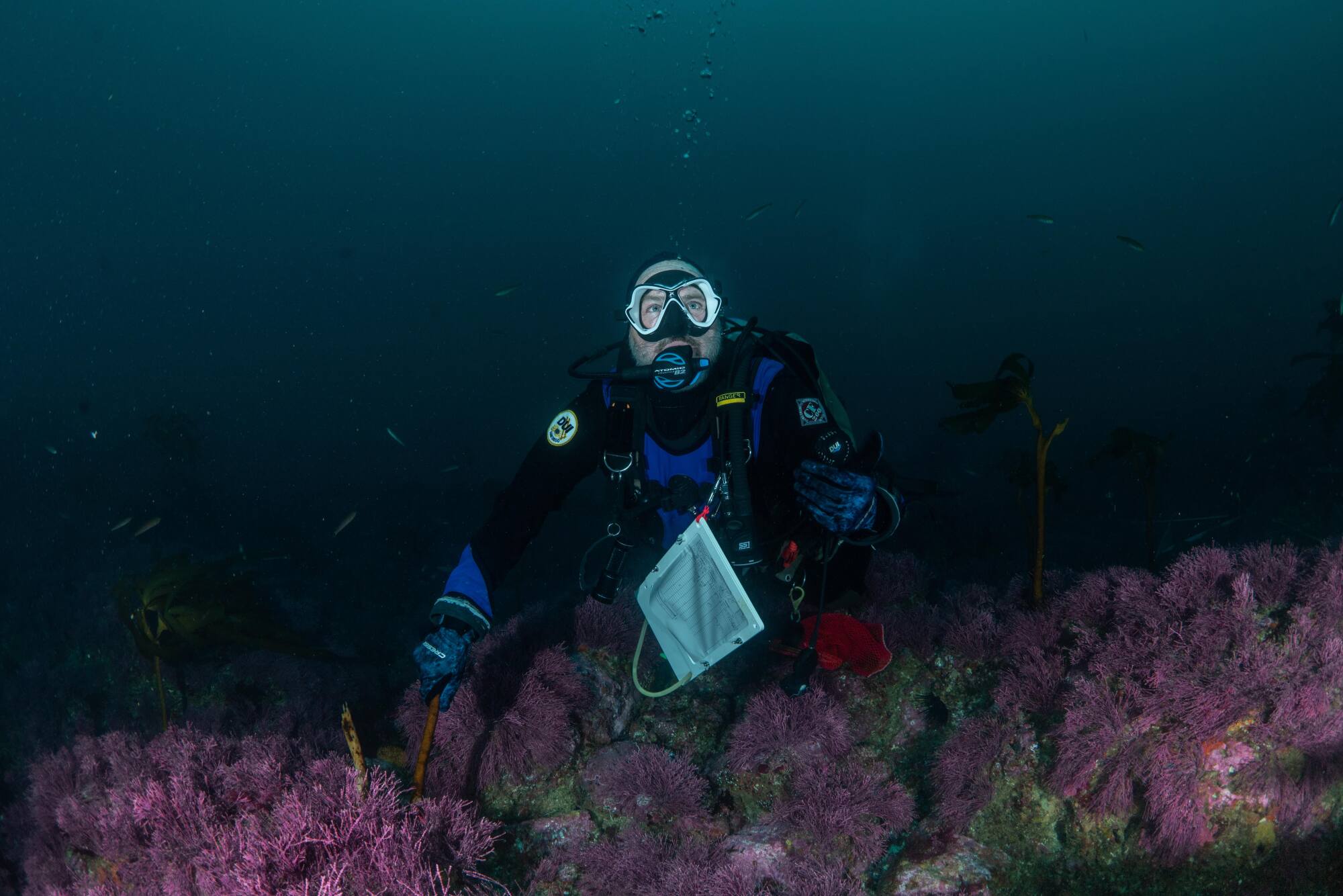 John Hyde will research abalone off the Southern California coast.