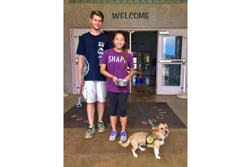 Emile Modesitt and author's daughter Nora Groves with Ralph, a terrier mix from the Kauai Humane Society. Ralph is now named Toby and lives with the Bennett family in Granite Bay, Calif.