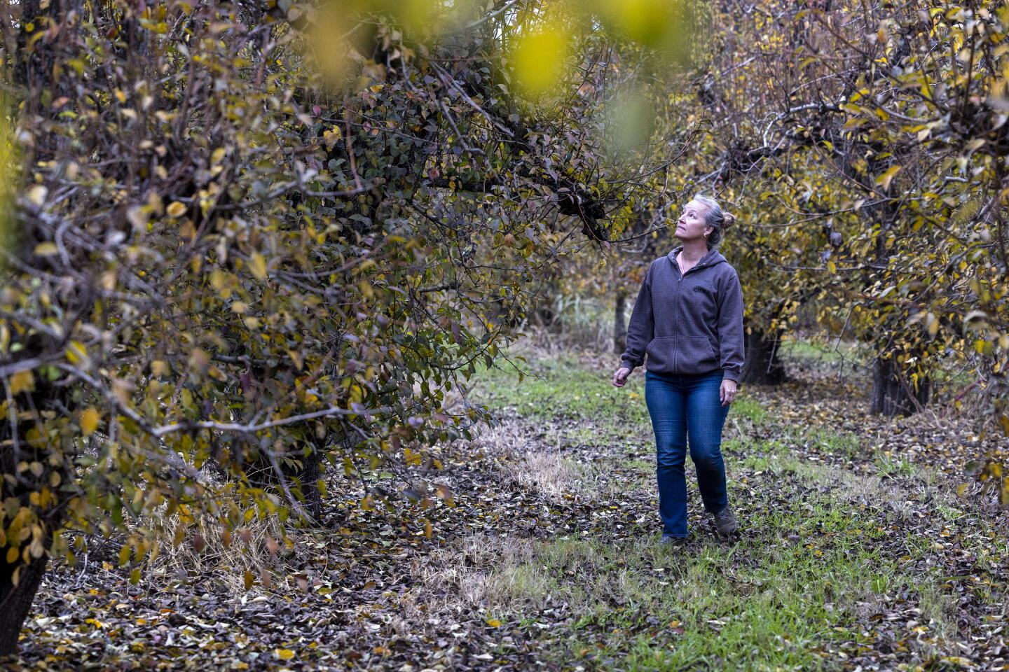 Hemly Will a $16-billion water tunnel destroy California's delta? - Los ...