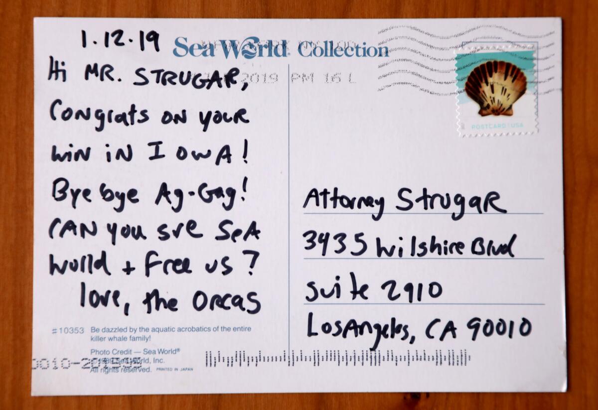 The back of a postcard addressed to "Attorney Strugar" says: "Can you sue Sea World & free us? love, the orcas." 