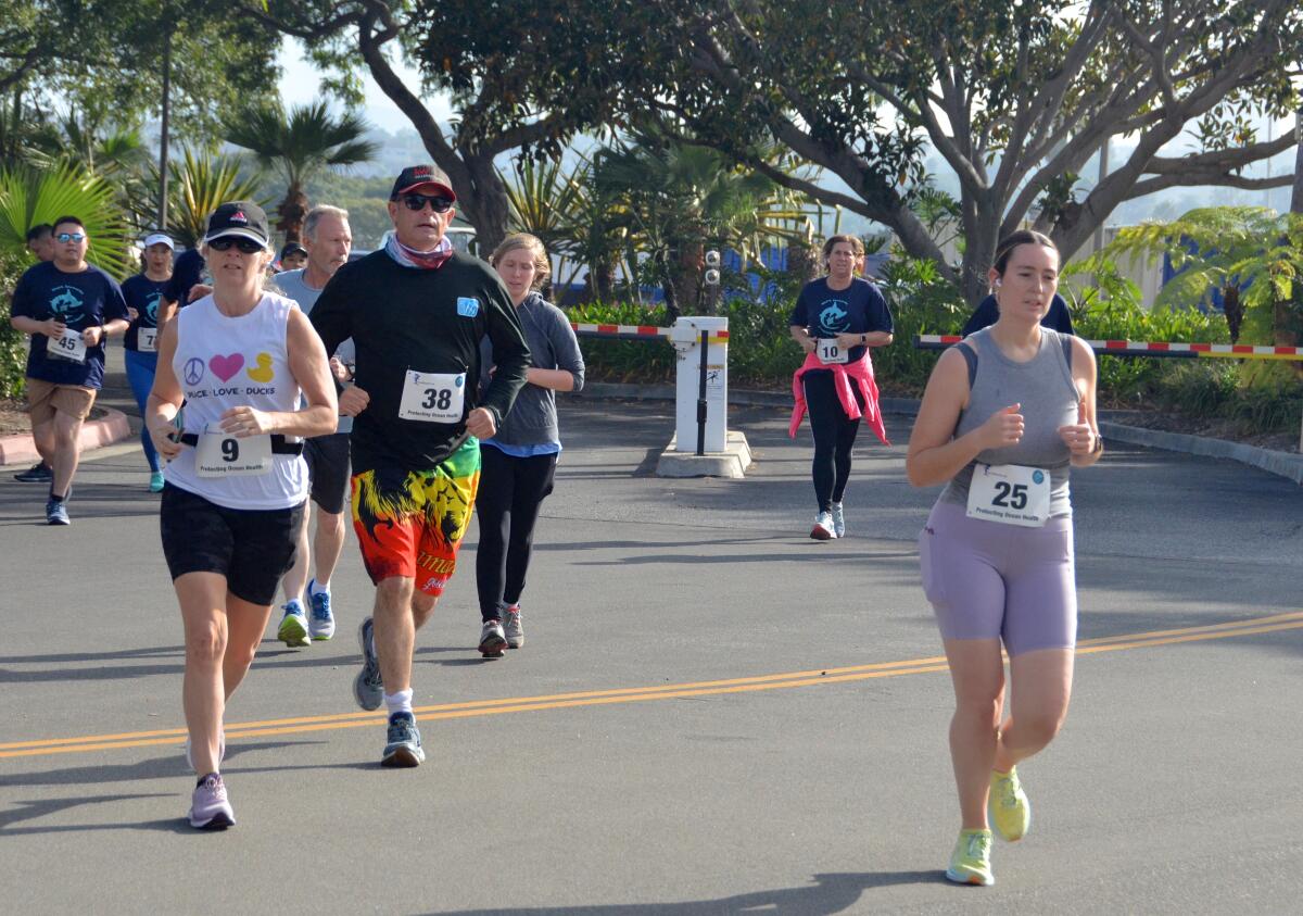 Around 100 participants attended the Run 4 Sharks 5k run and 1-mile walk.