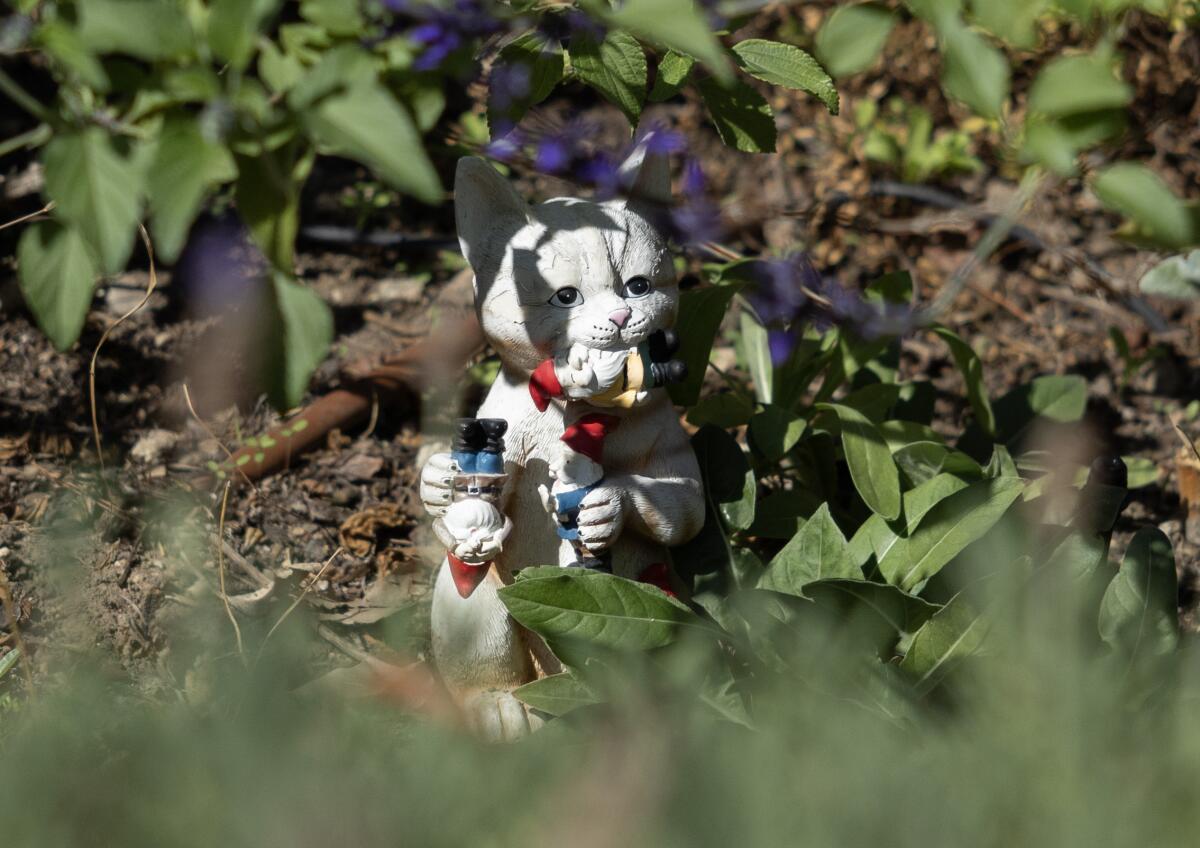 A gnome-eating cat statue nestled among the greenery in Phil and Margaret Hinch's garden.