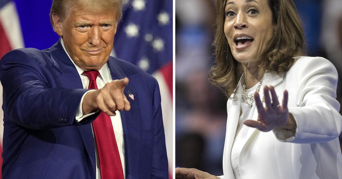 Polls: Harris leads Trump in post-DNC afterglow