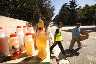 PASADENA, CA - SEPTEMBER 18, 2024 - Derek Milton, center, and Grant Yansura walk past bottles of urine that have been left by a man they call the "Piss Bandit," after leaving hidden security cameras in the brush, upper left, along W. Colorado Blvd. in Pasadena on September 18, 2024. Milton and Yansura have made many humorous videos about the situation and continue to endeavor to identify who the culprit. (Genaro Molina/Los Angeles Times)