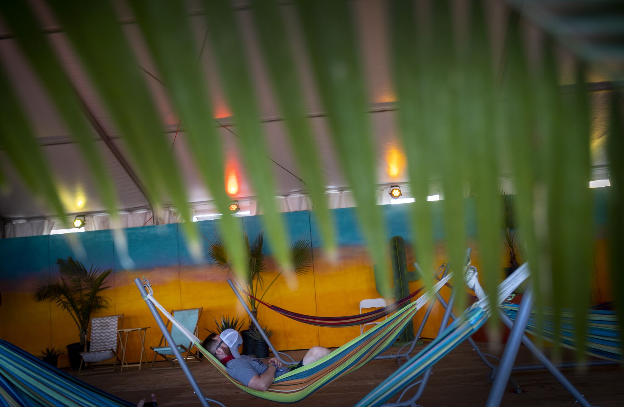 A person rests on a hammock