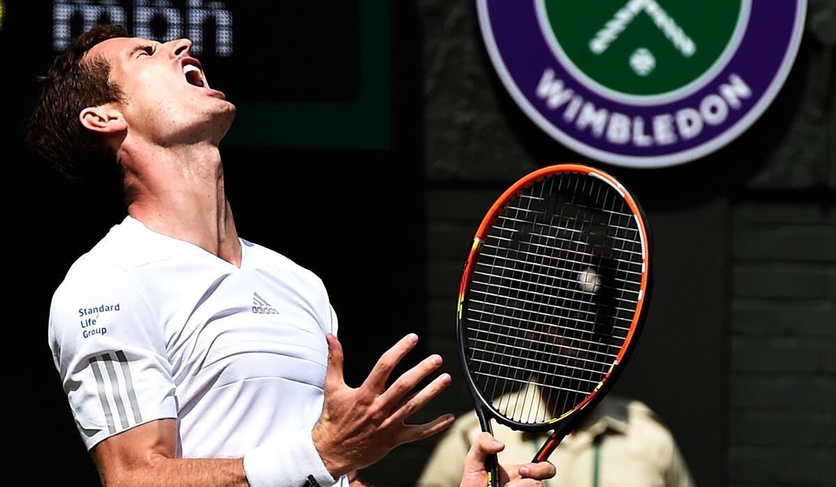 Andy Murray had plenty to disdain in a straight-set loss to Grigor Dimitrov in the quarterfinals of Wimbledon on Wednesday.