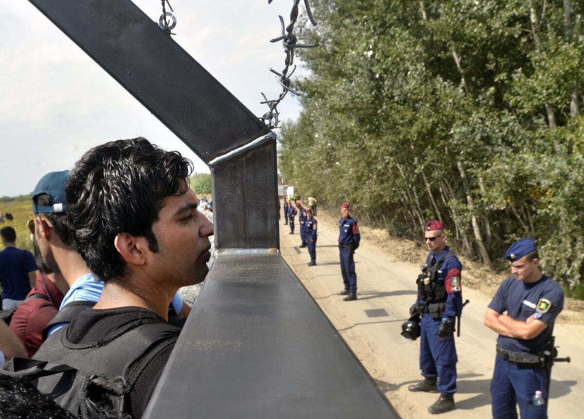 Migrants look through the border fence between Serbia and Hungary, near Horgos, Serbia, on Sept. 15.