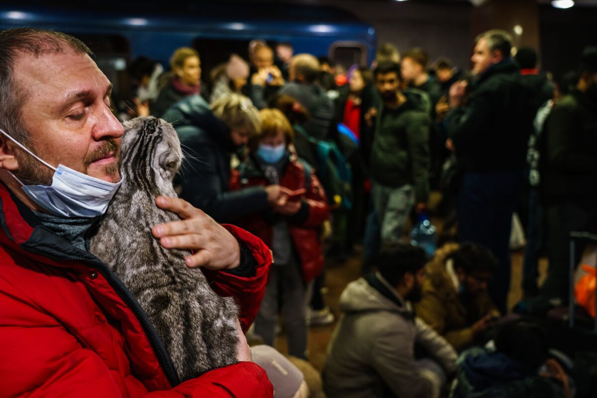  Caman Denysenko tries to calm his spooked cat as he joins hundreds of people seeking shelter underground.