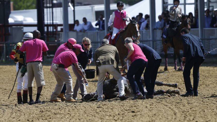 Officials tend to Congrats Gal after the filly collapsed at the end of the Grade 3 Miss Preakness Stakes on Friday at Pimlico Race Course in Baltimore.