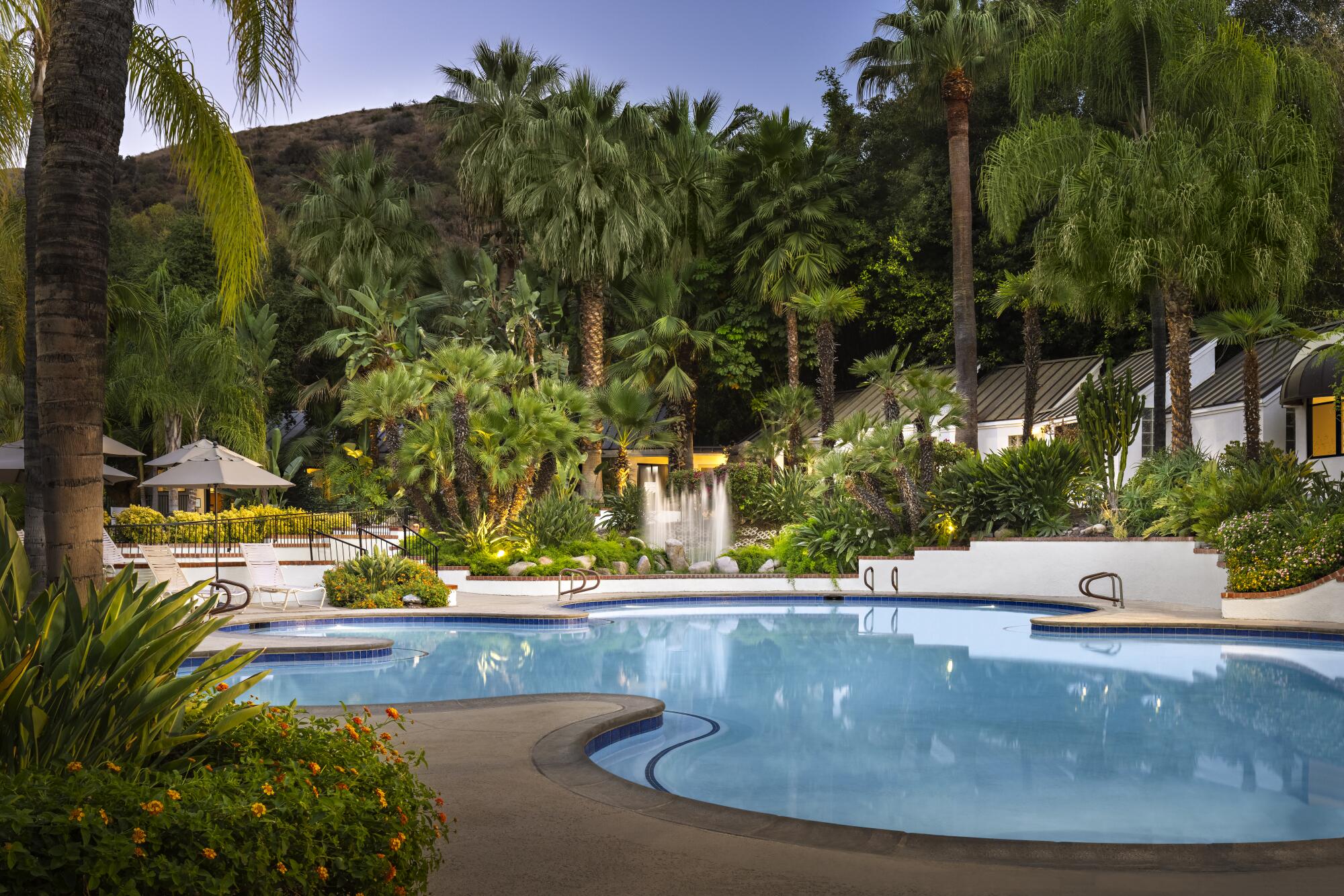 A pool at Glen Ivy surrounded by palm trees.