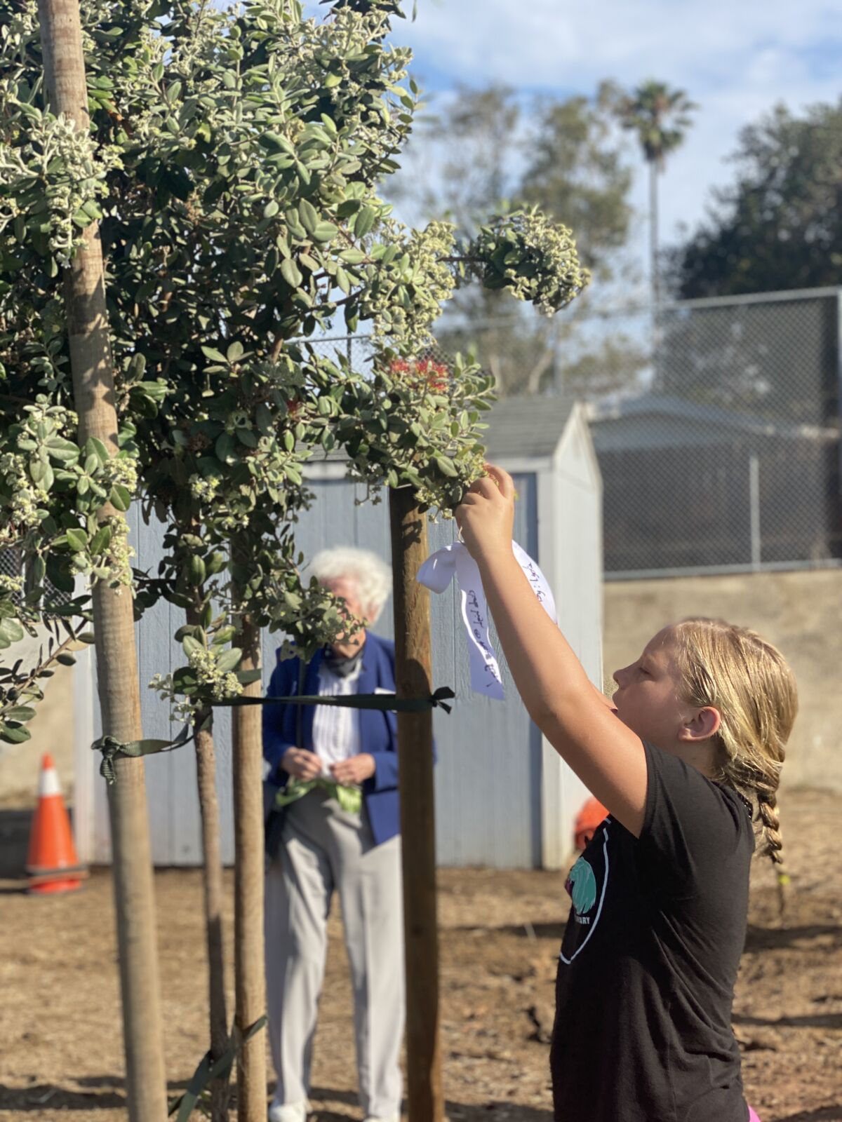 BRES class of 2021 student Lydia McDonald places a ribbon on one of the newly planted trees.