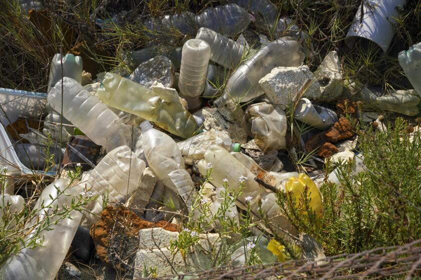Garbage is seen next to beach at Fiumicino, near Rome, Saturday, Aug. 15, 2020. Italy produced 10% less garbage during its coronavirus lockdown, but environmentalists warn that increased reliance on disposable masks and packaging is imperiling efforts to curb single-use plastics that end up in oceans and seas. (AP Photo/Andrew Medichini)