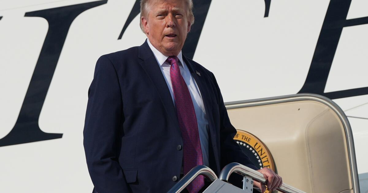 Trump gracie 9 personnes reconnues coupables d’infraction au code de la route