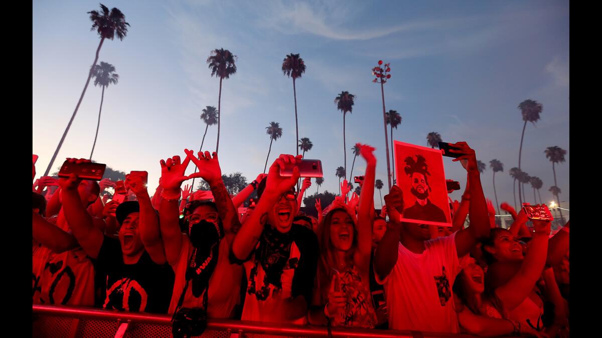 Fans cheer the Weeknd at Hard Summer.