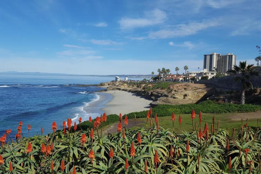 The vista at Whale View Point in La Jolla