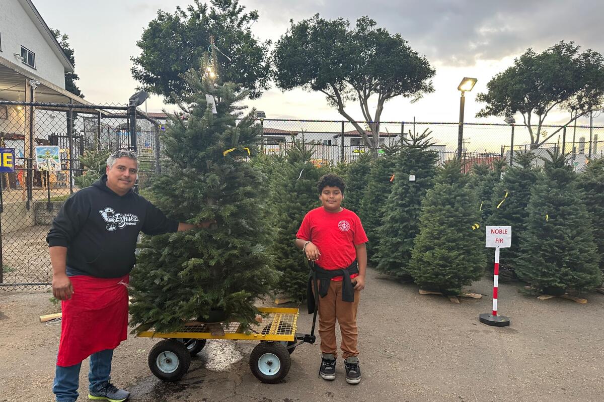 Two people stand in a Christmas tree lot, one holding a tree that sits on a wheeled dolly