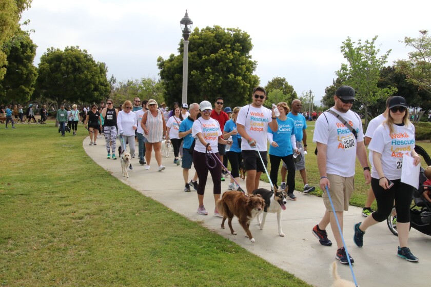 Walk for Animals San Diego, pictured in 2019, returns on Saturday, May 7, at NTC Park at Liberty Station in Point Loma.
