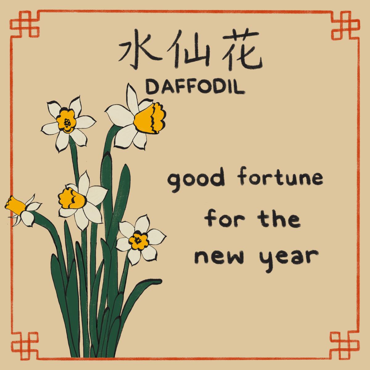 Illustration of Daffodils with the words "good fortune for the new year"
