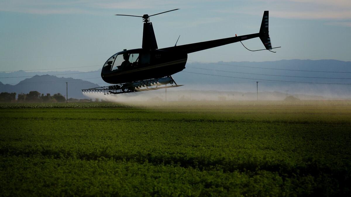A helicopter sprays insecticide on a field outside El Centro in the Imperial Valley in 2015.