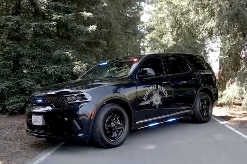 Meet the New Owners in Whispering Pines - Los Angeles Times