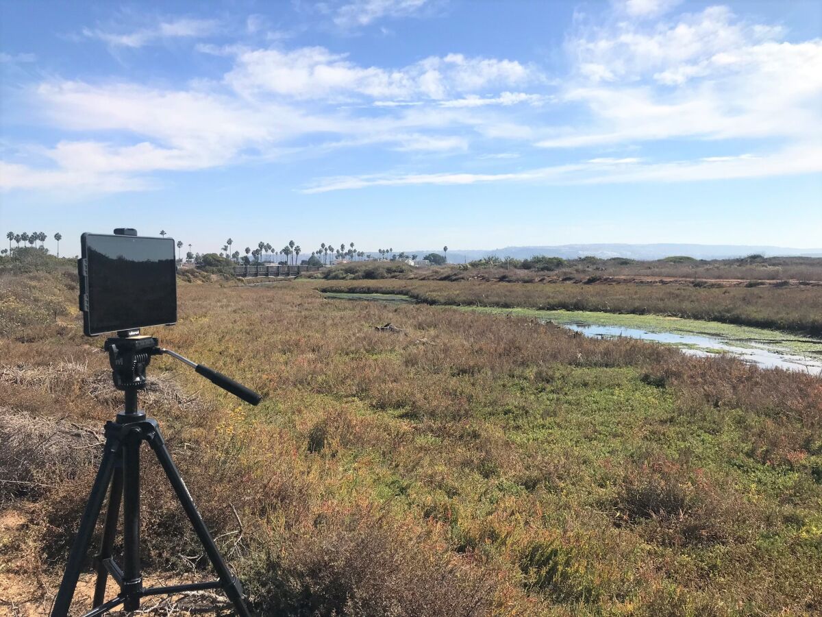 The Tijuana Estuary Visitor Center will host "Wild About Wetlands" lecture on Feb. 2.