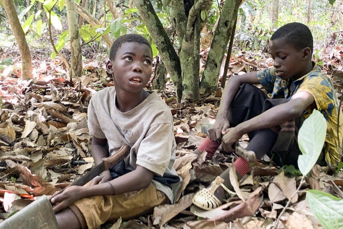 Two children sit on the ground outdoors surrounded with brown, dry leaves.