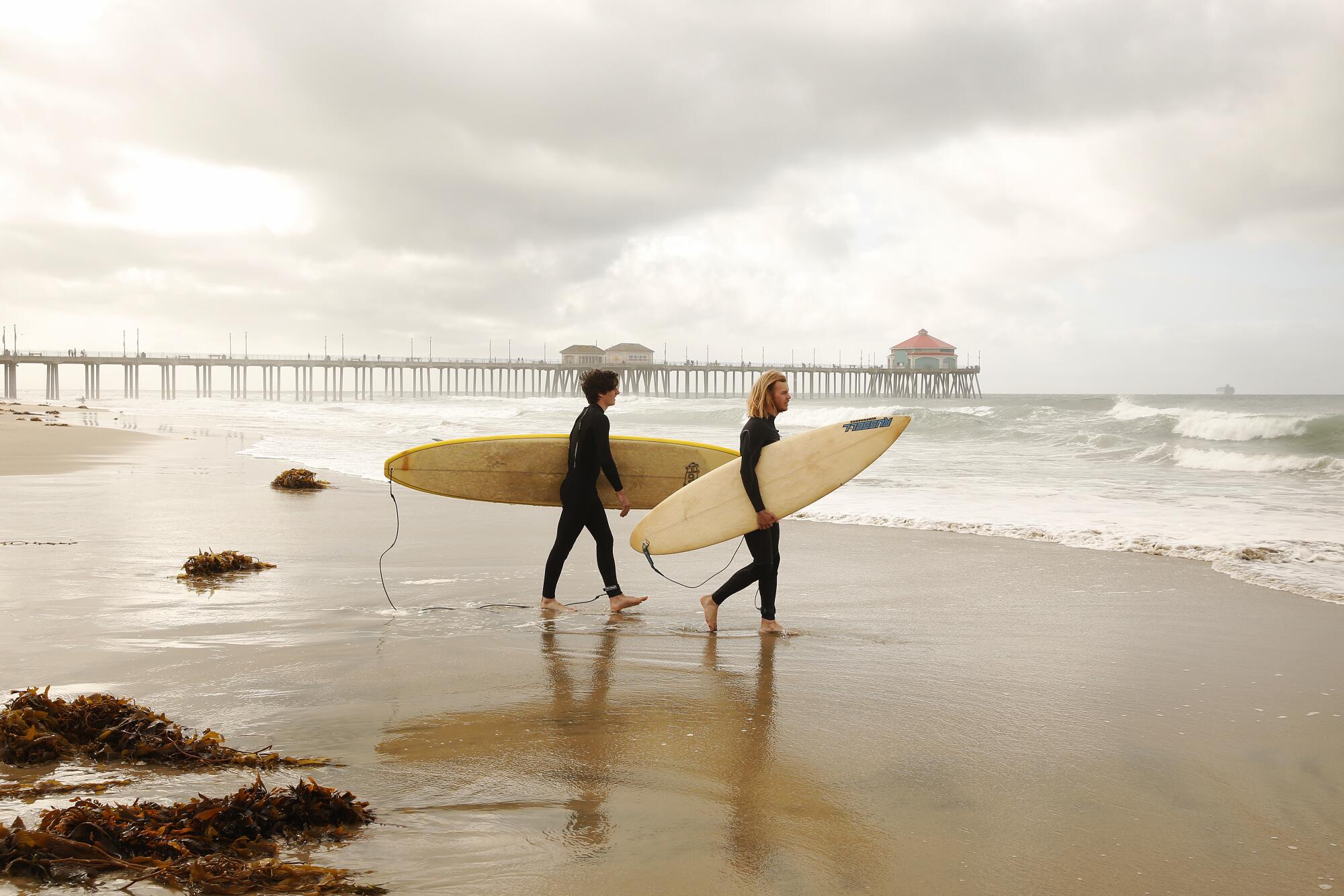 Surfers walk on the wet sand, toward the ocean