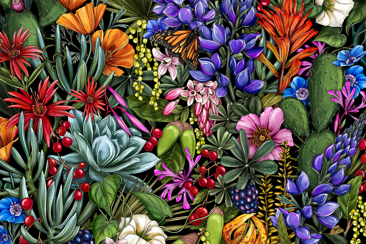  A lush animation of intertwined California native plants and flowers