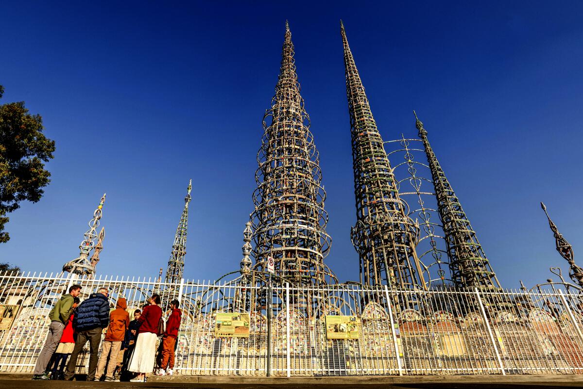 People stand in front of a fence, looking at towers.