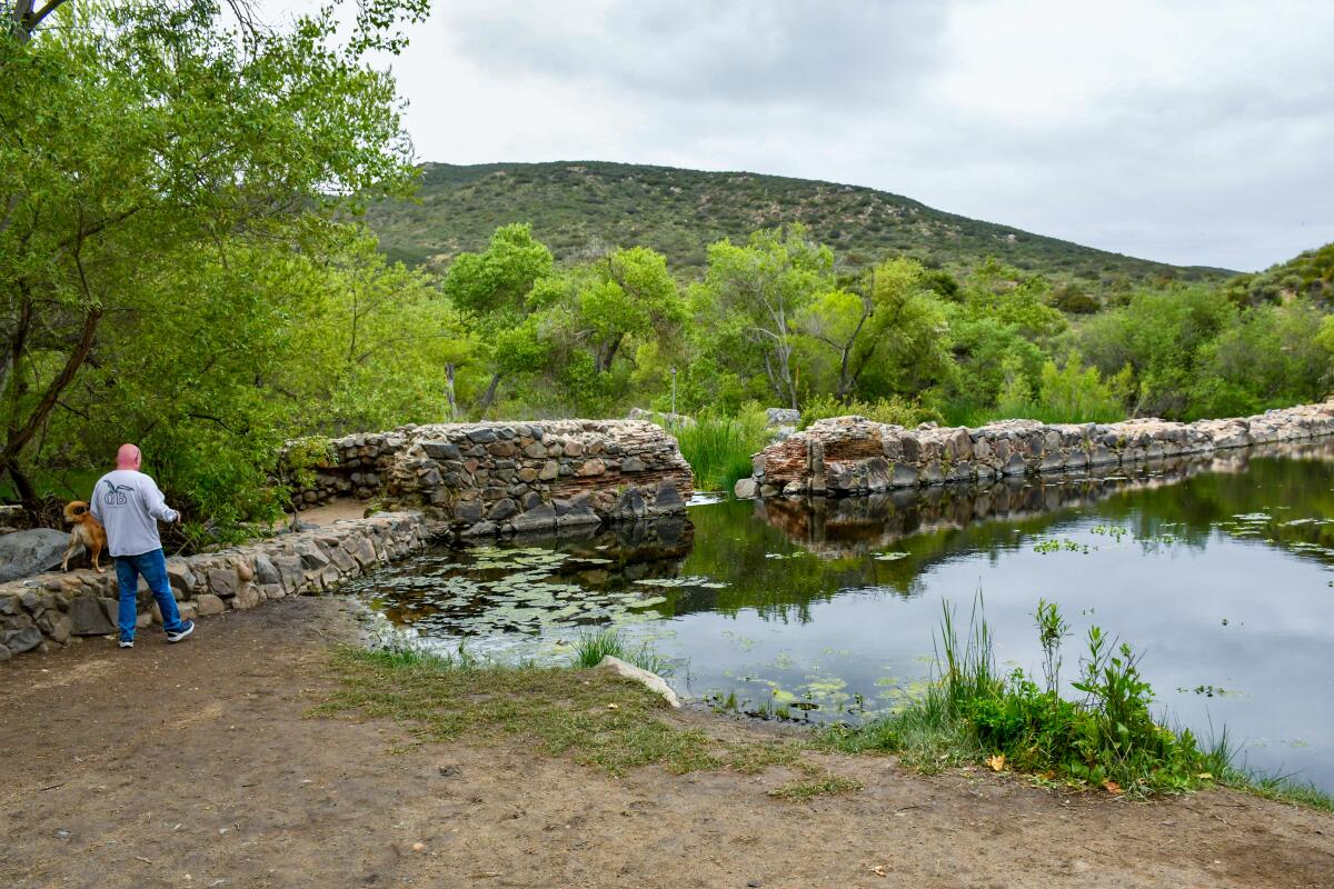 Why you should visit California's largest city park right now 17 A dog-walker pauses at Old Mission Dam in Mission Trails Regional Park, San Diego.