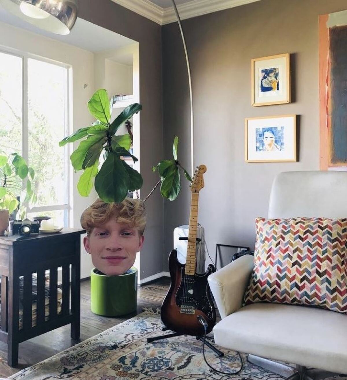 The failing fiddle-leaf plant, adorned with a Fathead cutout of the author's son's face.