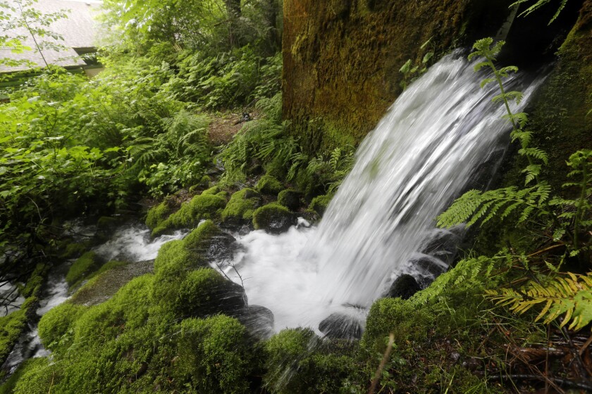 Starved For Jobs And Money Small Oregon Town Stops Short Of