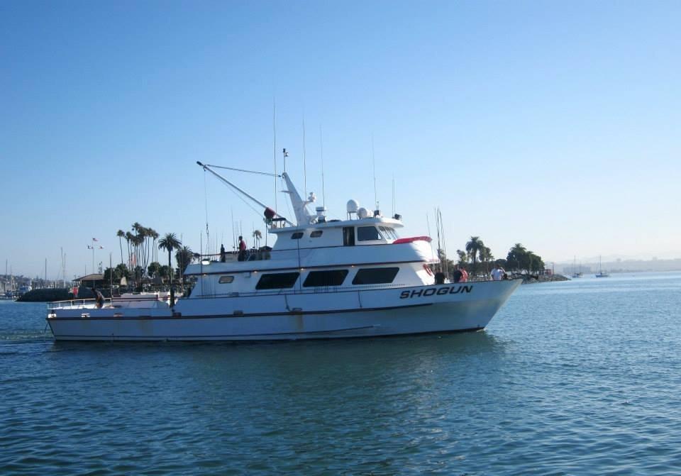 Shogun Sportfishing