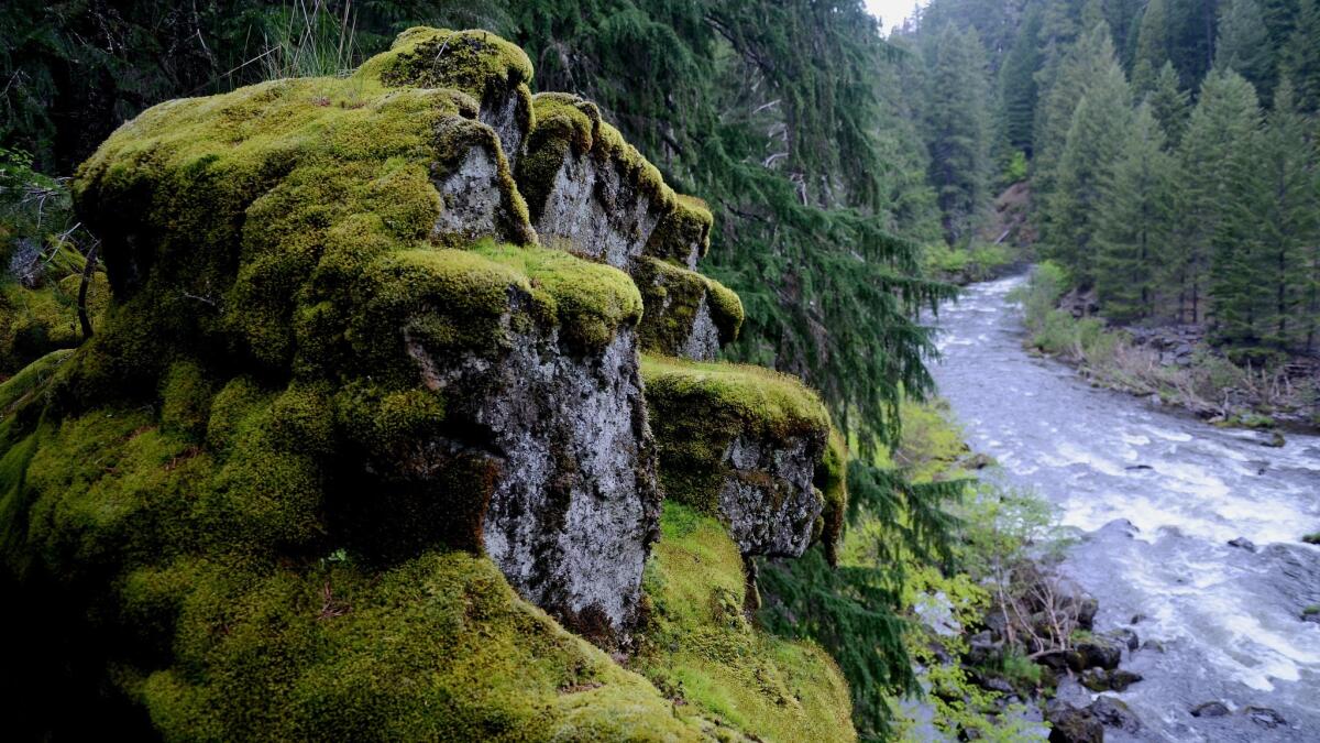 The Rogue River Gorge is just outside Crater Lake National Park in Oregon.