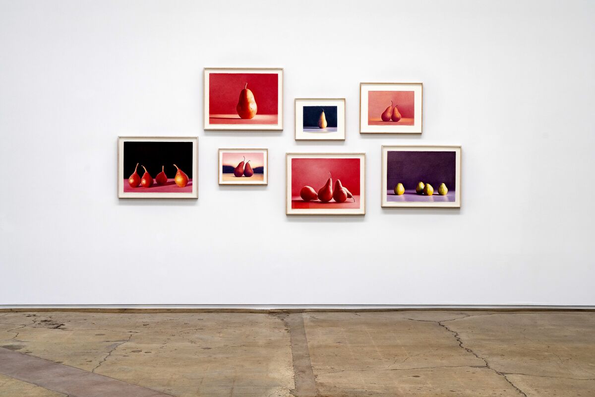 Seven paintings of pears hang on a white wall.