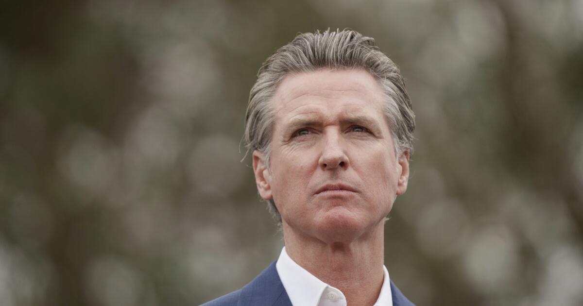 Gavin Newsom reflects on year of arrests made for retail theft, car burglaries a week ahead of election Gavin Newsom reflects on year of arrests made for retail theft, car burglaries a week ahead of election