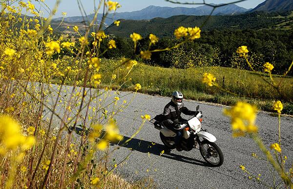 Patrick Frey rides his motorcycle on East Carmel Valley Road after a day of teaching at Everett Alvarez High School in Salinas, Calif. It's about an hour's ride to Frey's 10-acre farm through the hills and passes that Steinbeck writes about in "The Pastures of Heaven." See full story
