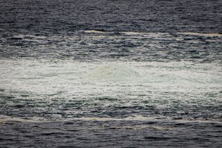 En esta imagen proporcionada por las Fuerzas Armadas de Dinamarca se ven aguas agitadas cerca de una fuga de gas en un gasoducto submarino en el Mar Báltico, el jueves 29 de septiembre de 2022. (Rune Dyrholm/Fuerzas Armadas de Dinamarca via AP)