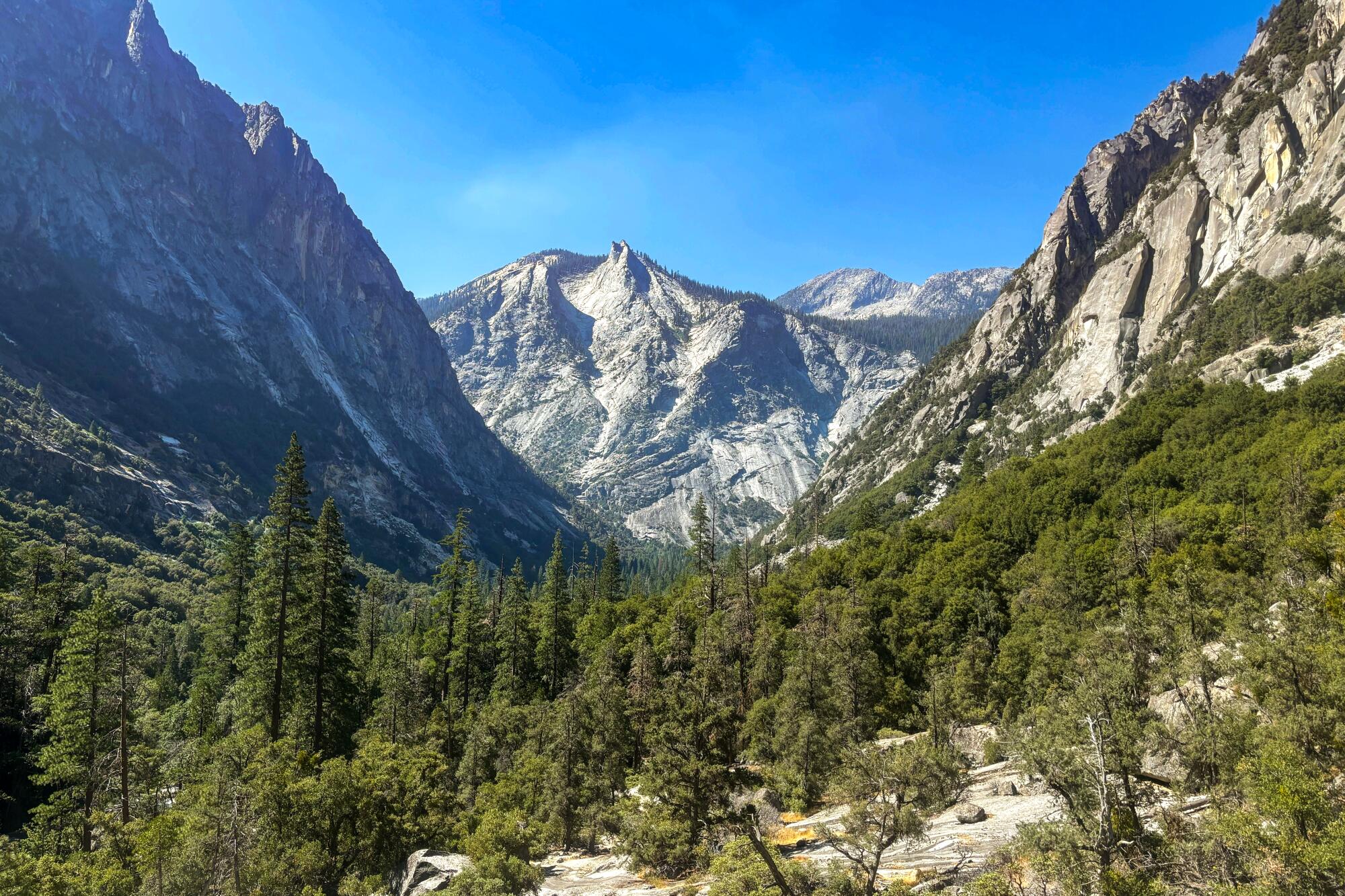 A massive canyon with hulking jagged rock walls and a forest below