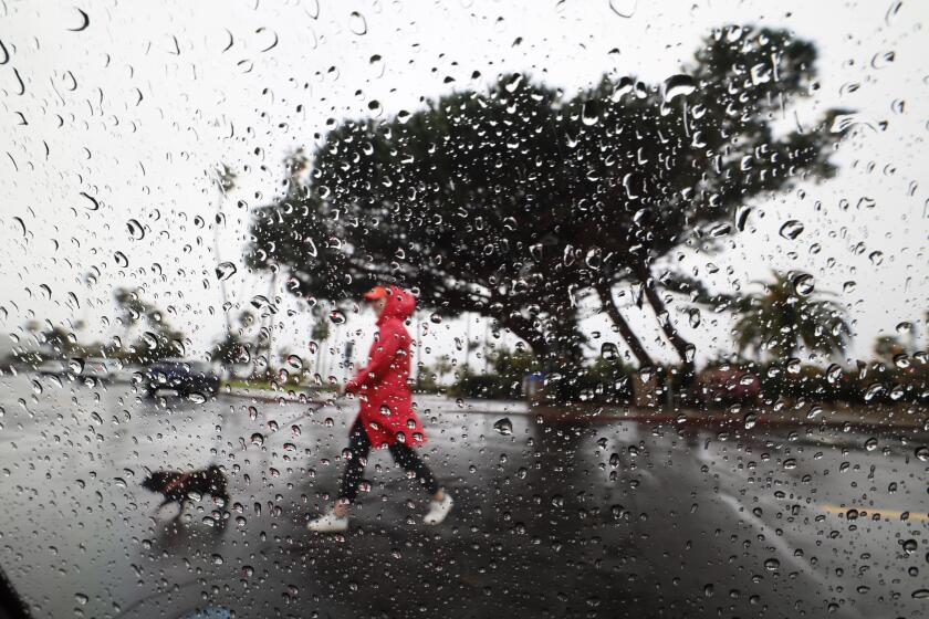 Rain falls at Heisler Park, Laguna Beach.