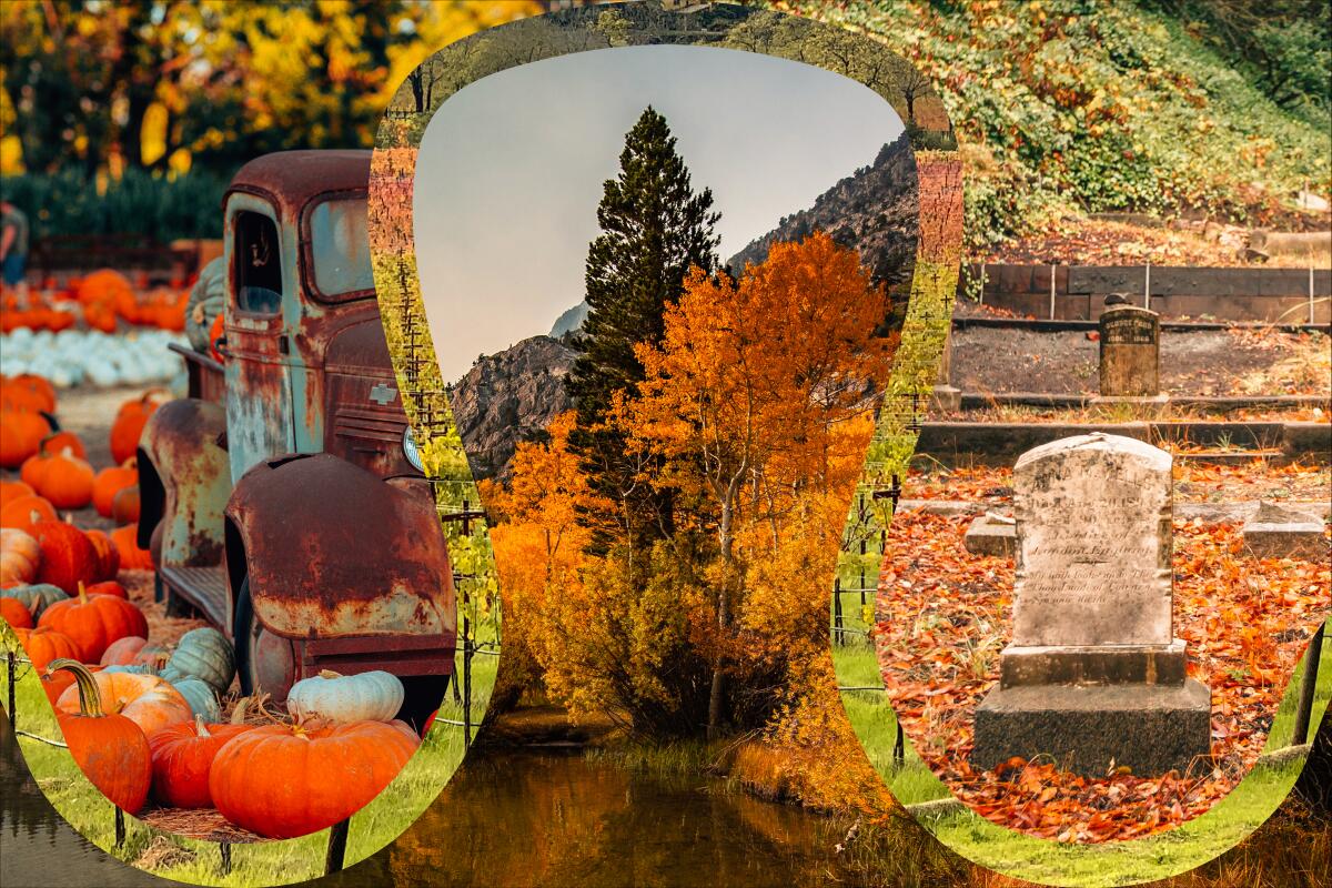 Photo illustration of 4 fall photos of a pumpkin patch, yellowing trees by a lake, a cemetery and a Napa vineyard.