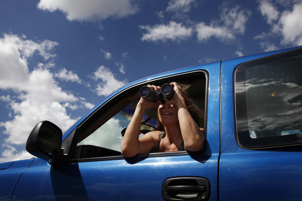 Sally Summers searches for mustangs in the Yerington, Nev., area. She founded Horse Power, a Reno nonprofit that works to protect wild horses and burros.