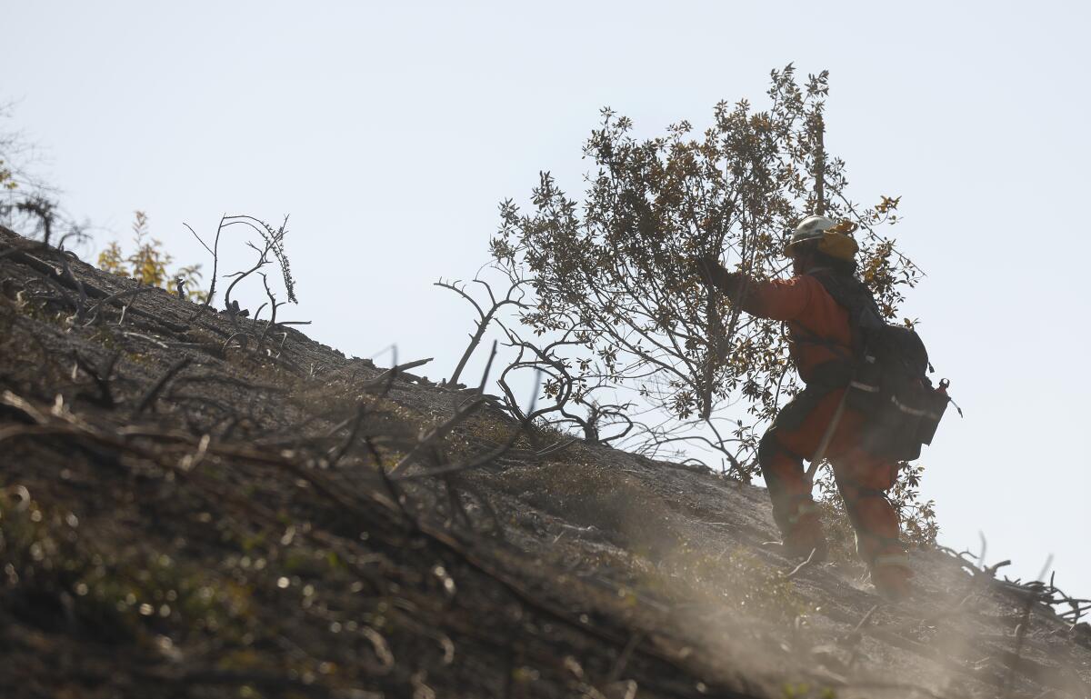 A person in orange uniform clears brush on a hillside