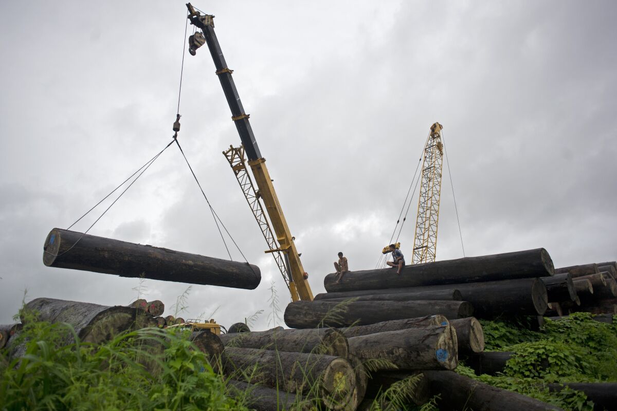A crane lifts a log