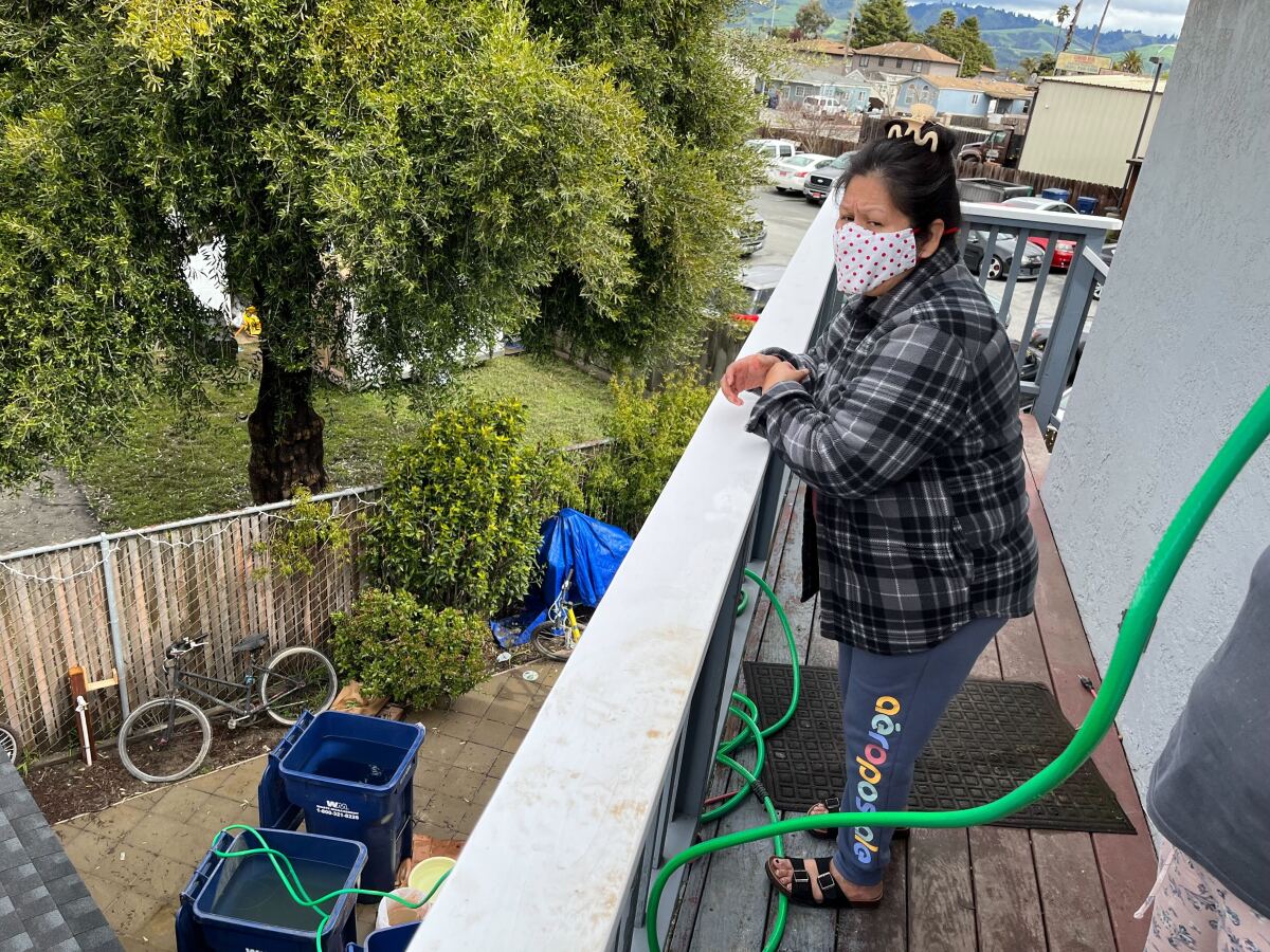 A woman stands on a balcony and looks at two large blue trash cans below