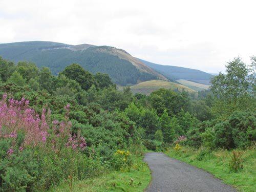 A walk in Scotland's Tweed River Valley